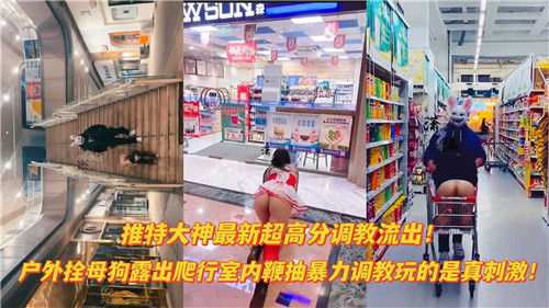 推特大神最新流出：户外母狗调教全记录 室内鞭打强制爬行 超高分调教实录